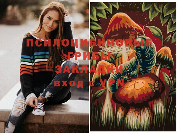 гашик Баксан